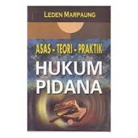 Image of Asas-teori-praktik hukum pidana